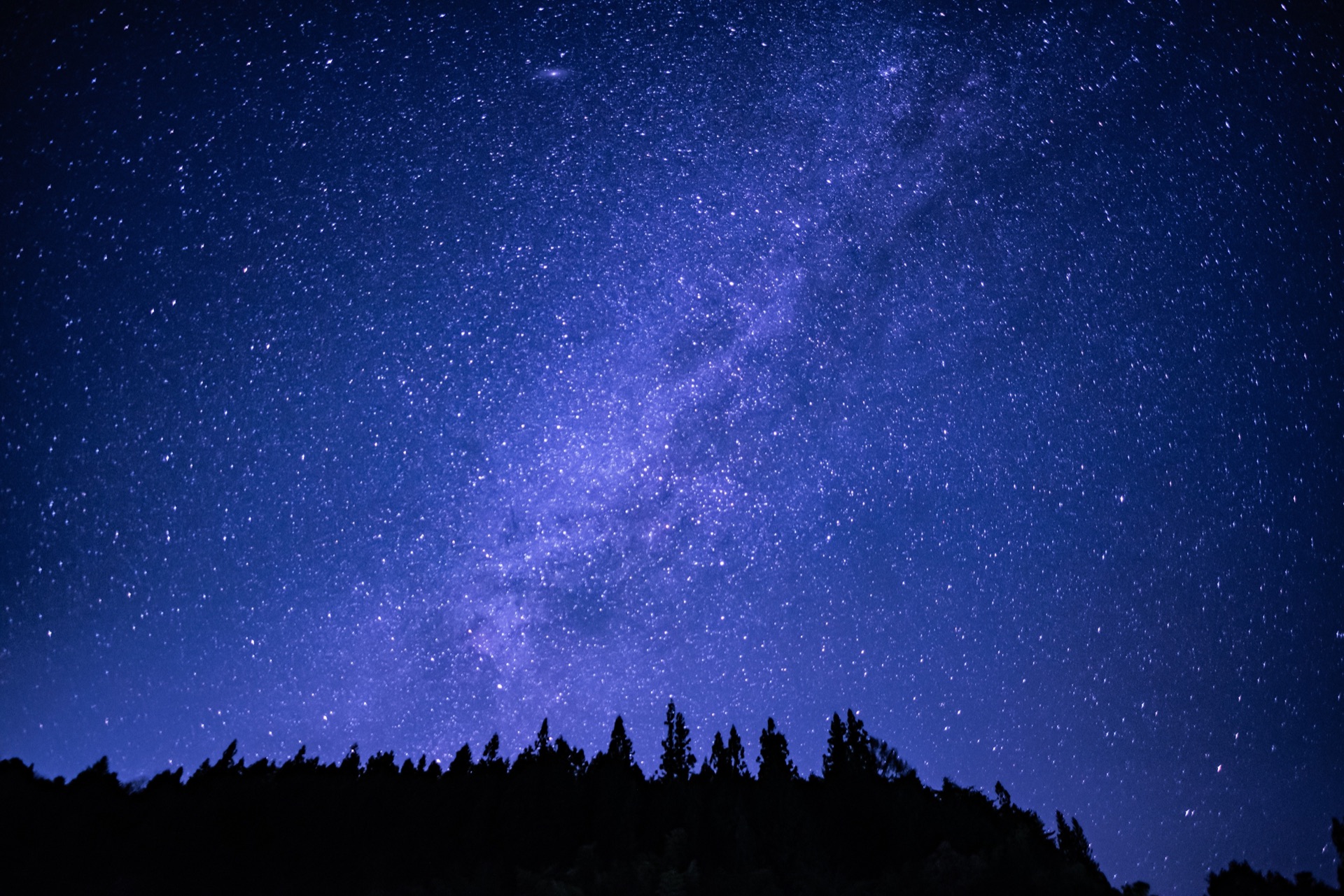 夏の星空と焚き火のサウナ